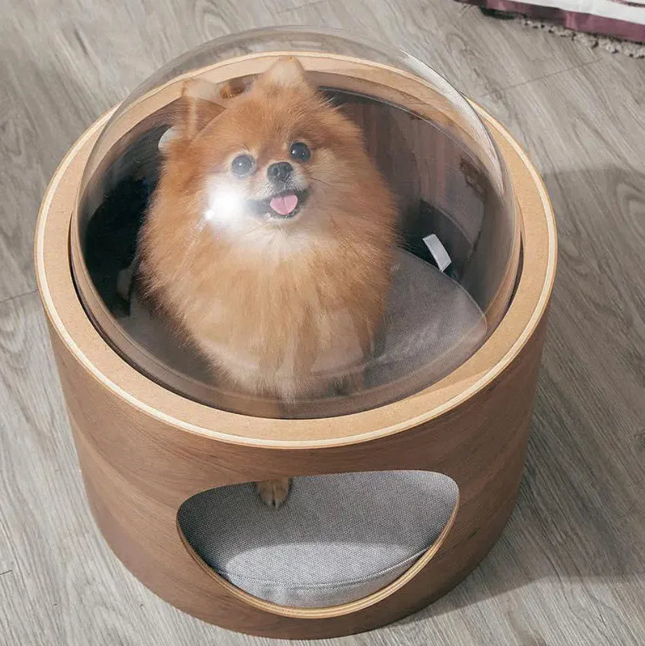 Clear Dome Pet Bed - FunkyCatCo