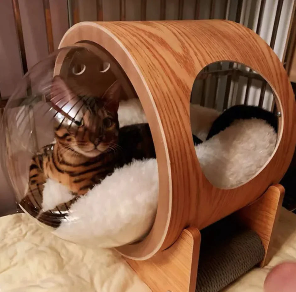 Clear Dome Pet Bed - FunkyCatCo