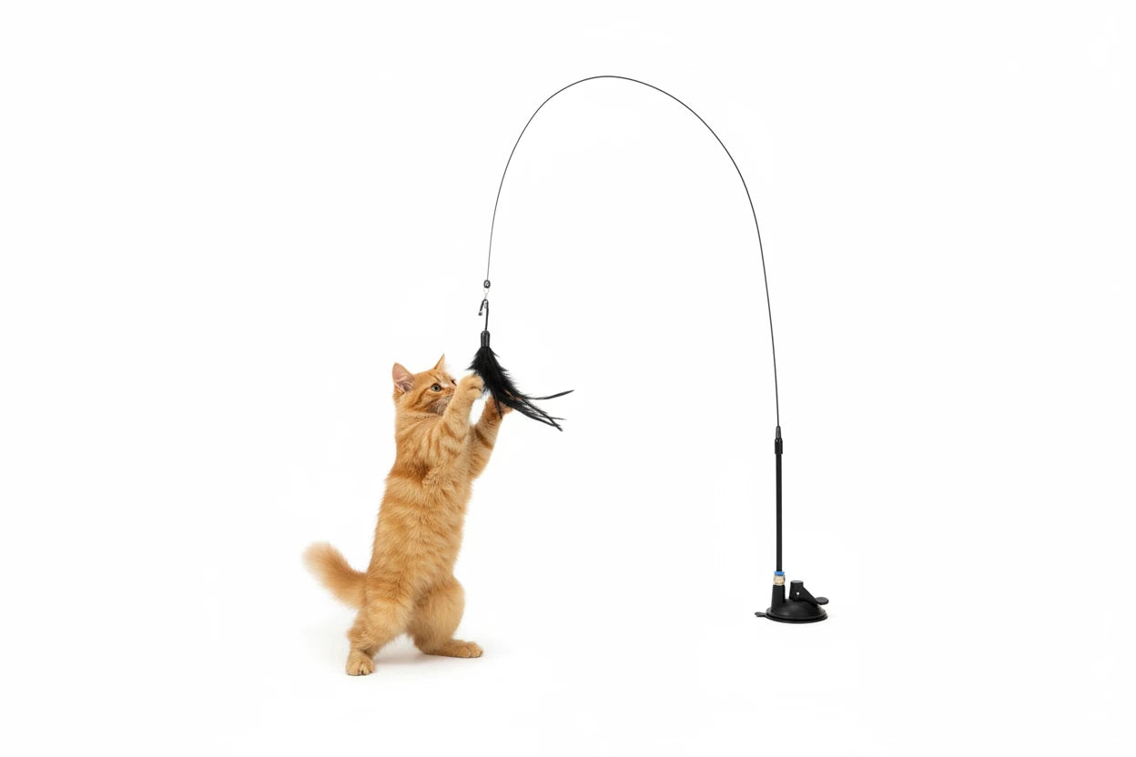 Toy Cat Teaser Stick - FunkyCatCo