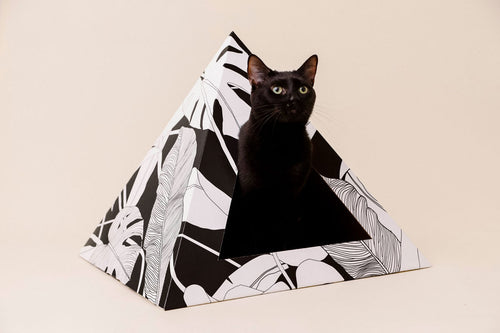 'Dark Paradise' Cardboard Cat Pyramid - FunkyCatCo